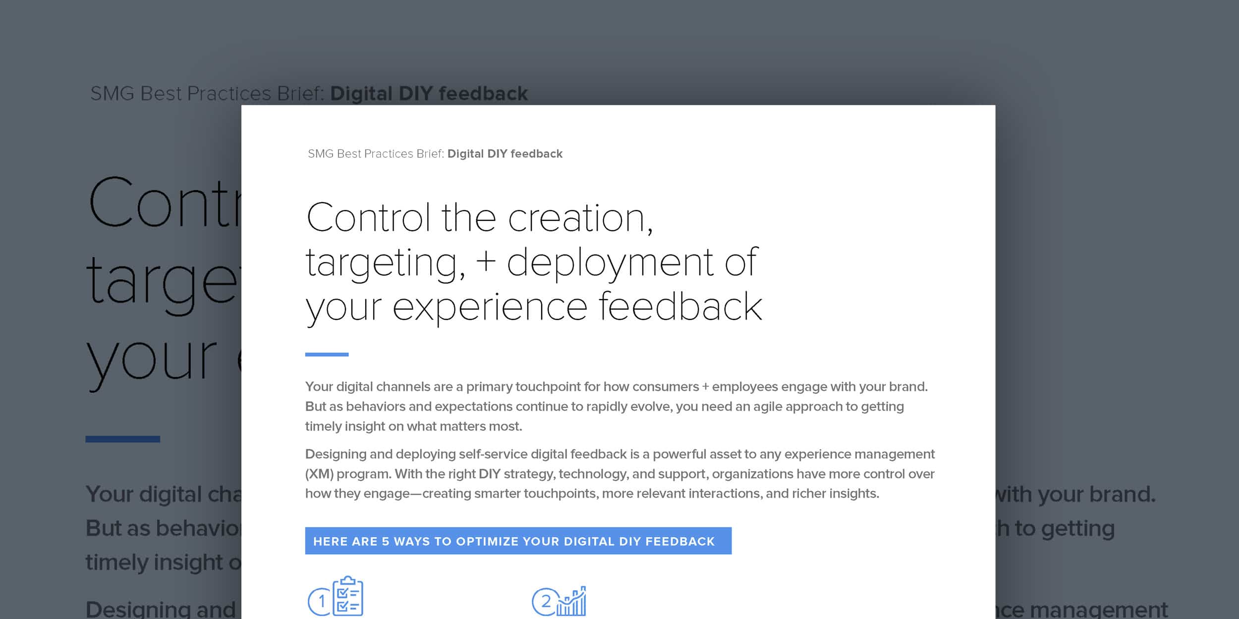 SMG Best Practices Brief: Digital DIY feedback